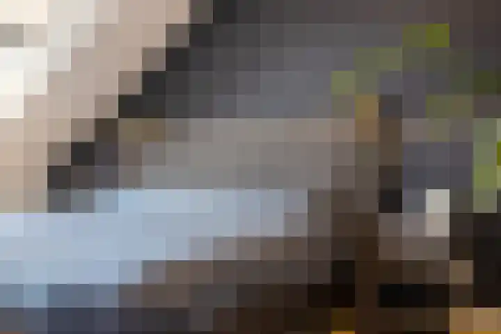 Floris V Dreef 49 Blaricum thumbnail 55