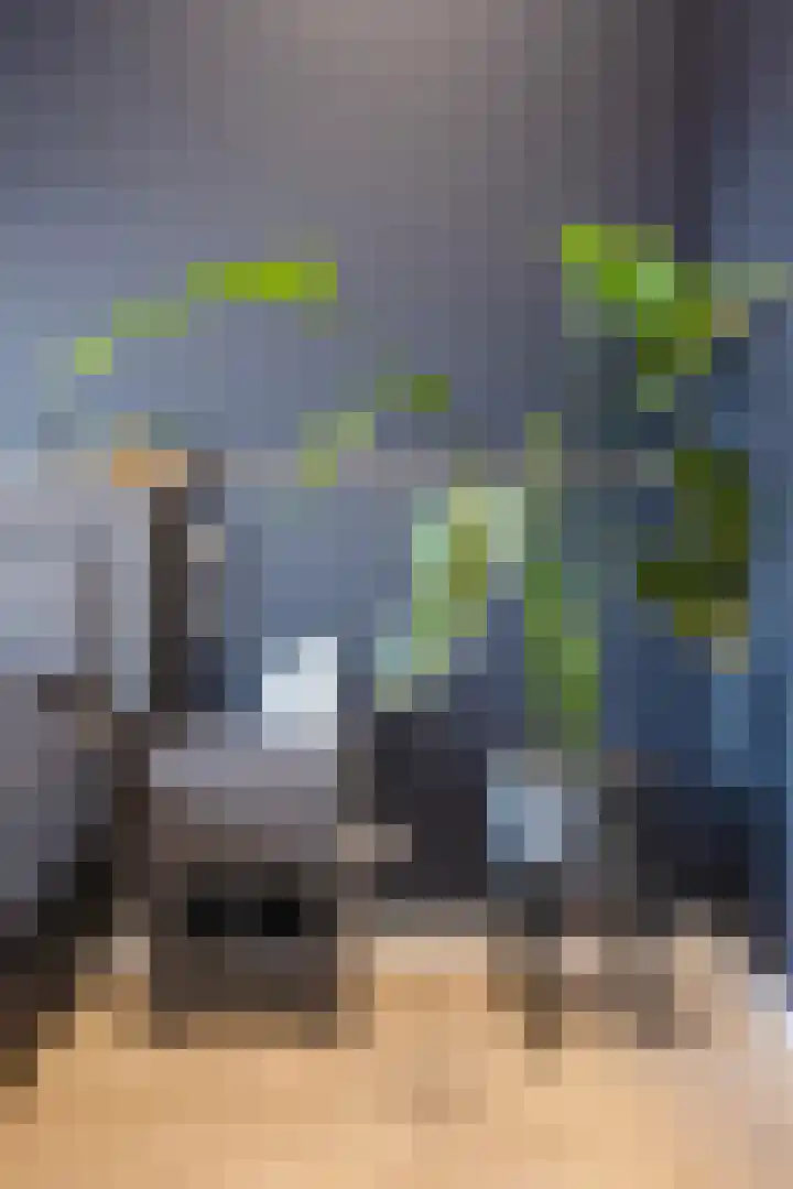 Floris V Dreef 49 Blaricum thumbnail 56