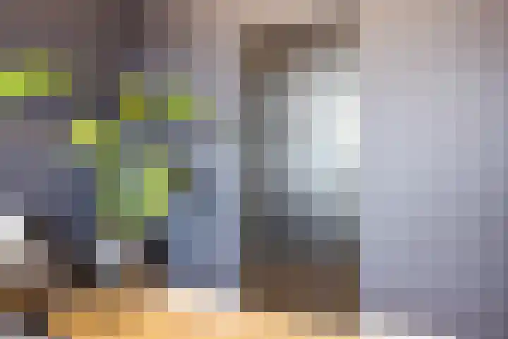 Floris V Dreef 49 Blaricum thumbnail 57