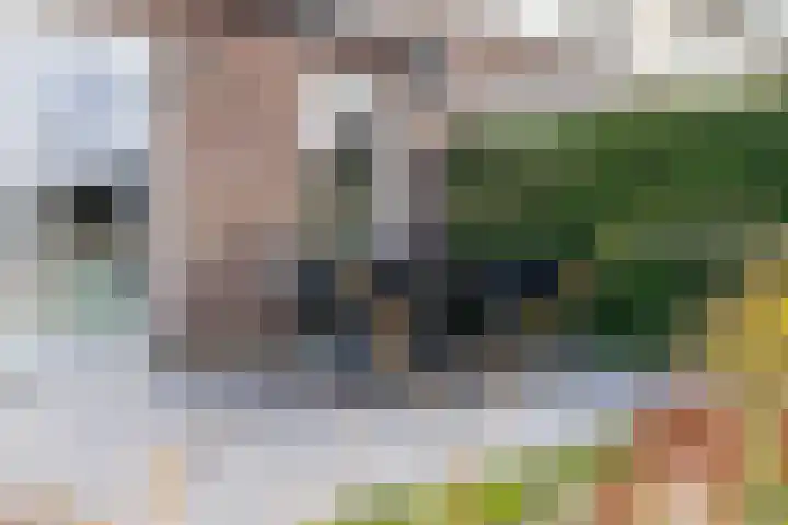 Floris V Dreef 49 Blaricum thumbnail 66