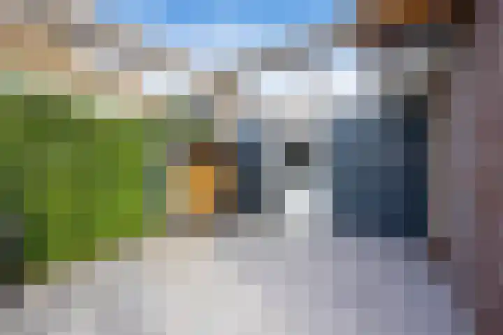 Floris V Dreef 49 Blaricum thumbnail 67