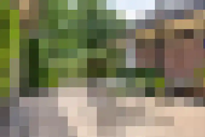 Floris V-laan 27 Waalwijk thumbnail 5