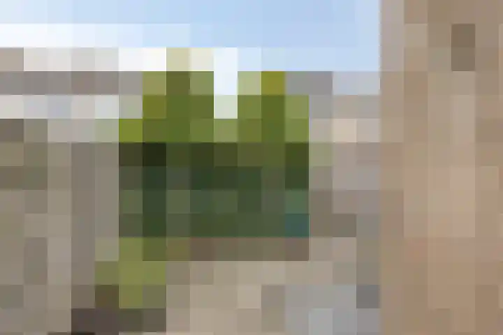 Floris V straat 11 Kampen thumbnail 32