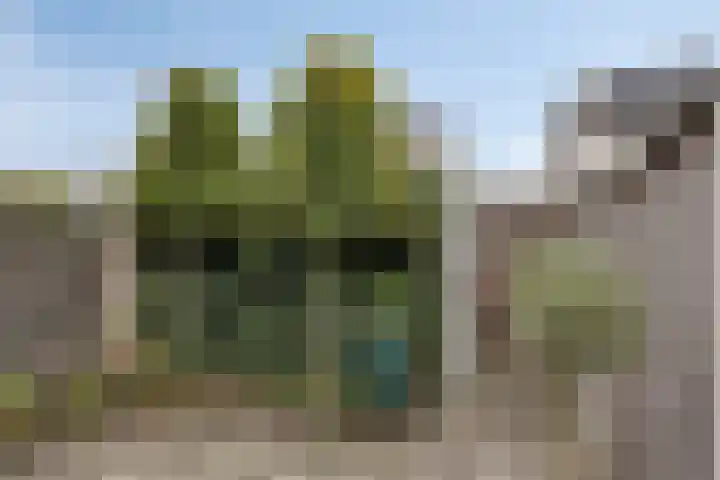Floris V straat 11 Kampen thumbnail 36