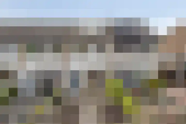 Floris V straat 11 Kampen thumbnail 6