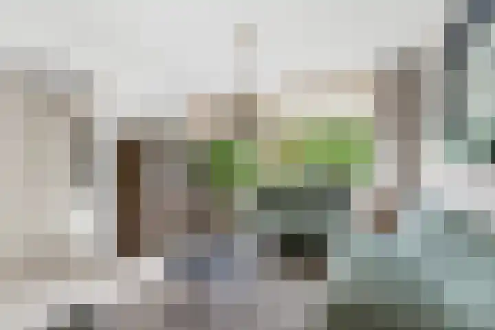 Floris V-straat 20 Nieuw-Lekkerland thumbnail 4
