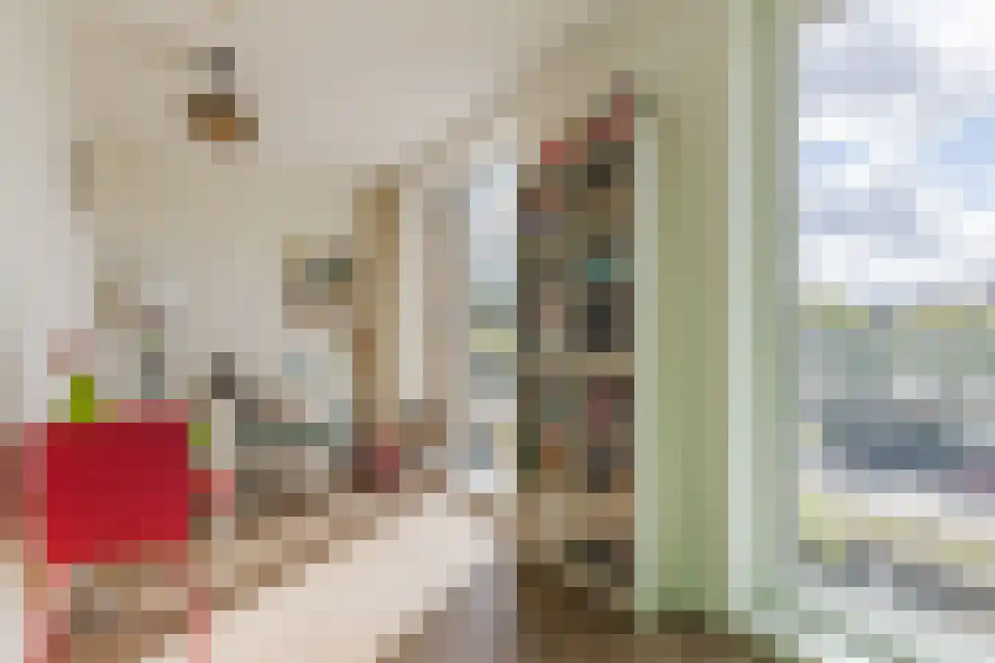 Floris van Adrichemkade 14 Haarlem thumbnail 22