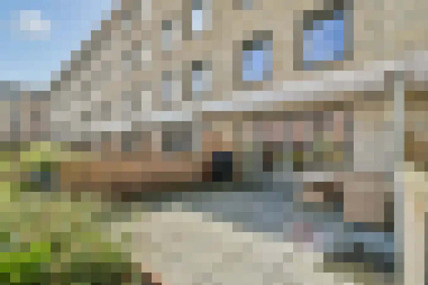 Floris van Adrichemkade 6 Haarlem thumbnail 10