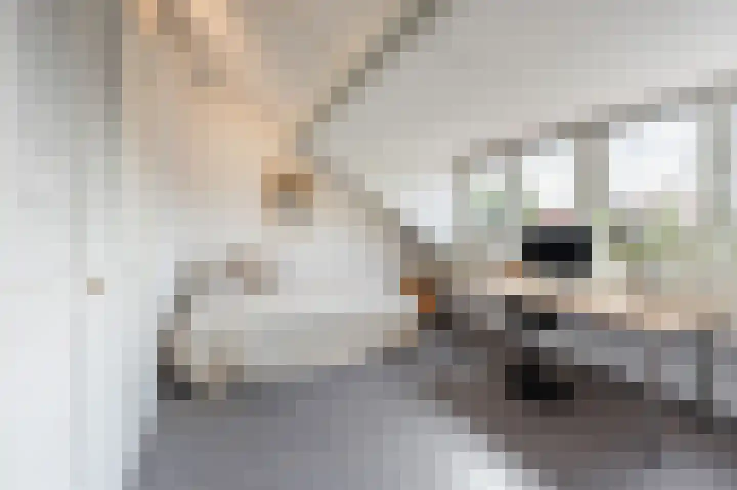Floris van Alkemadelaan 8 Amstelveen thumbnail 30
