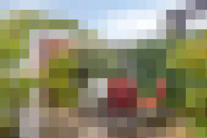 Floris van Brakellstraat 22 Kesteren thumbnail 36