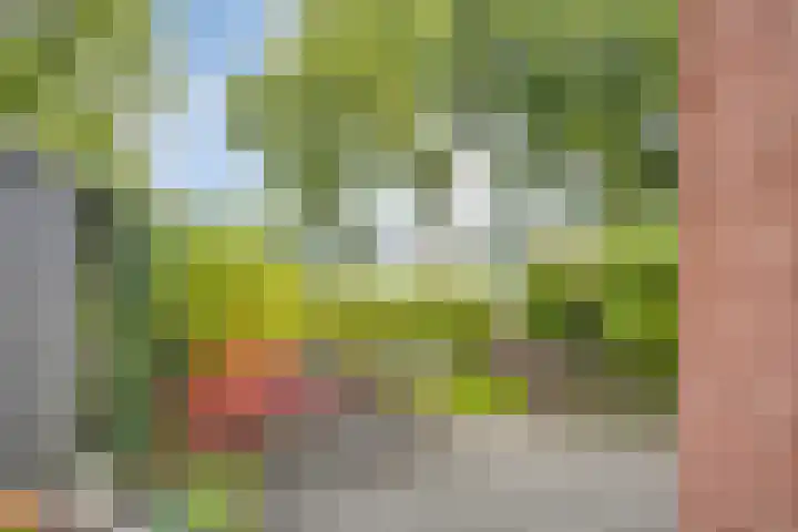 Floris van Brakellstraat 22 Kesteren thumbnail 37