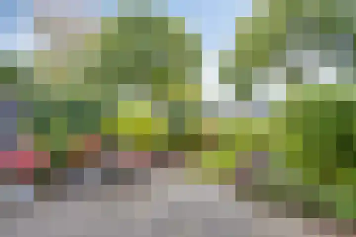 Floris van Brakellstraat 22 Kesteren thumbnail 39