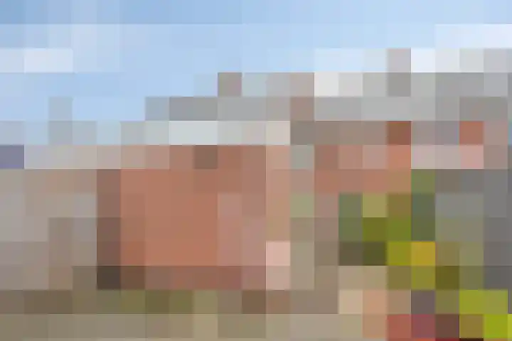 Floris van Brakellstraat 22 Kesteren thumbnail 40