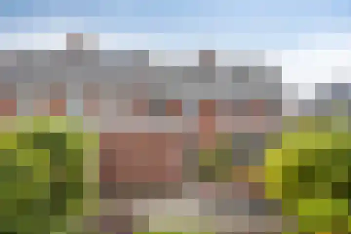 Floris van Brakellstraat 22 Kesteren thumbnail 42
