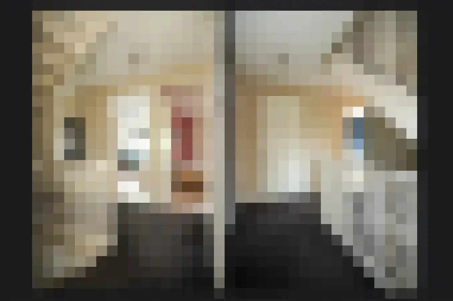 Floris van Brakellstraat 26 Kesteren thumbnail 32
