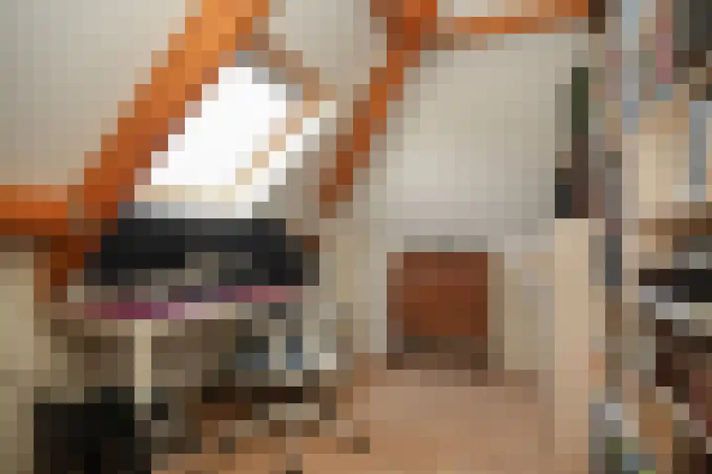 Floris van Brakellstraat 26 Kesteren thumbnail 34