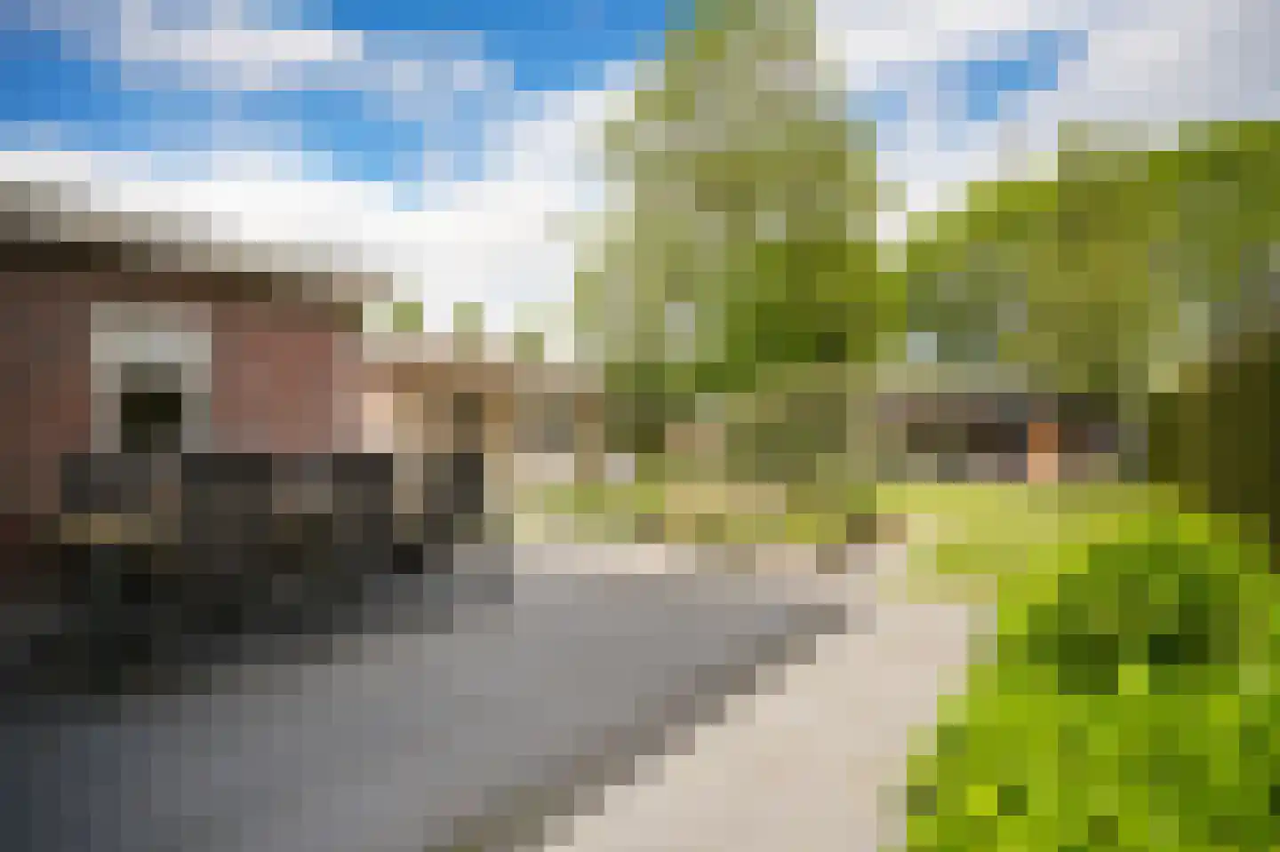 Floris van Brakellstraat 26 Kesteren thumbnail 39