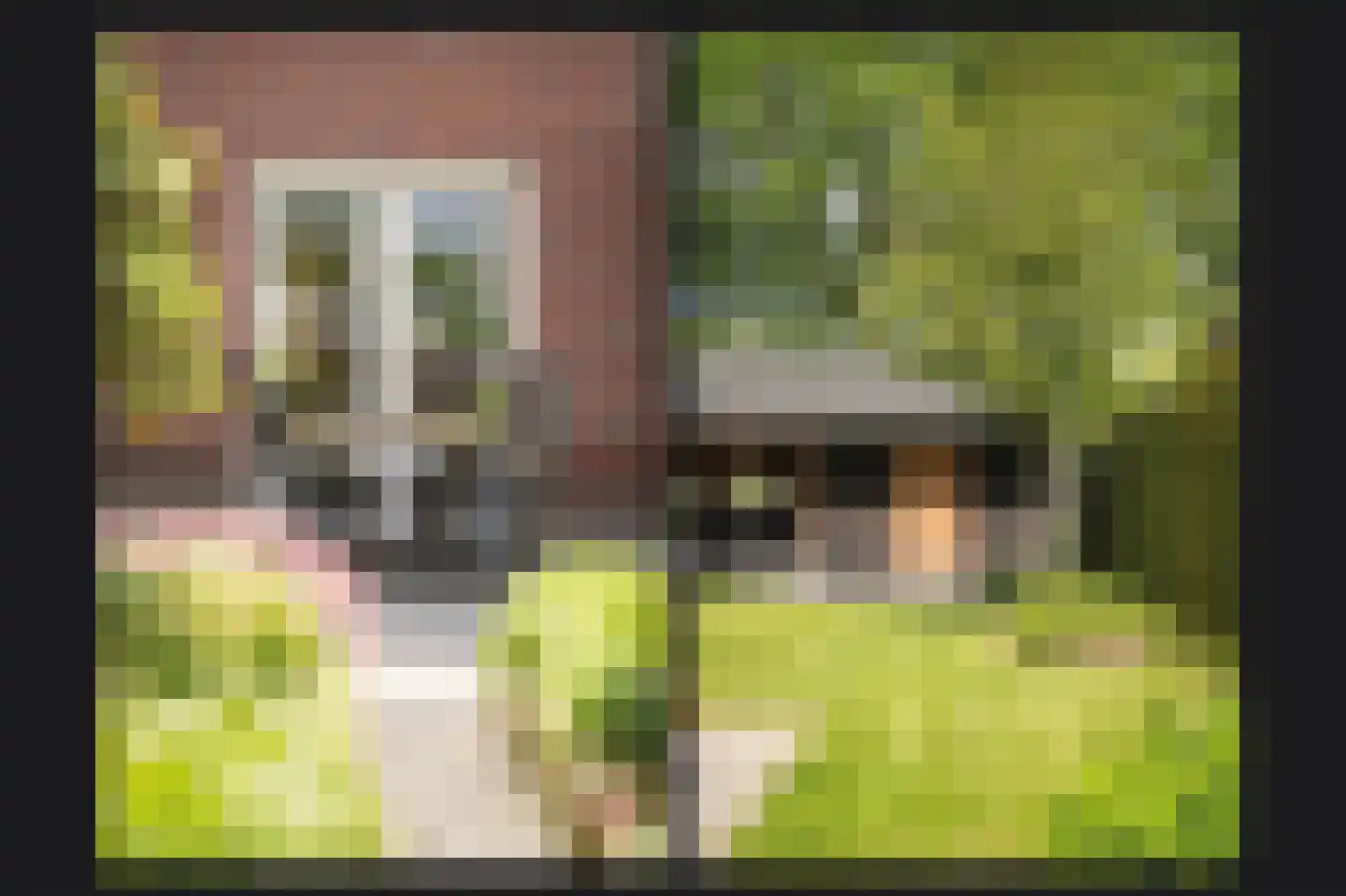 Floris van Brakellstraat 26 Kesteren thumbnail 41