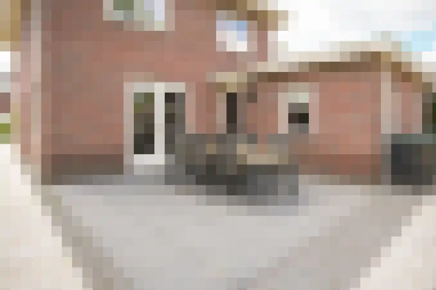 Floris van Brakellstraat 26 Kesteren thumbnail 51