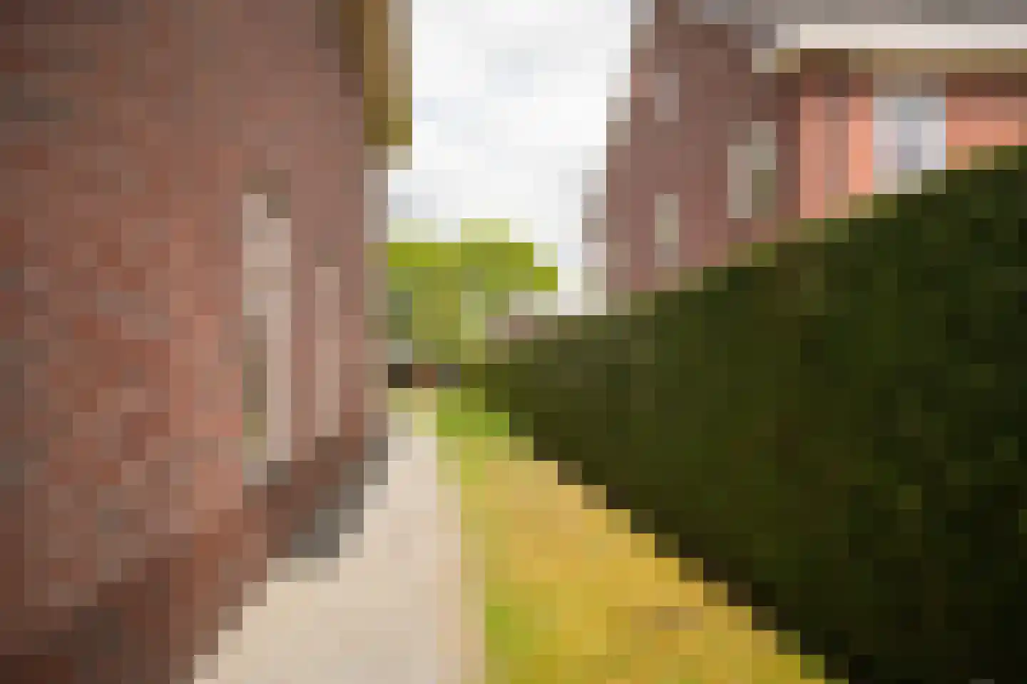 Floris van Brakellstraat 26 Kesteren thumbnail 54