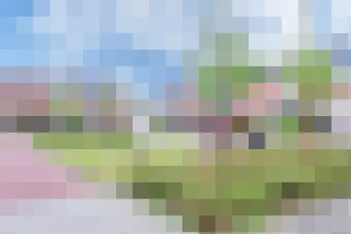 Floris van Dijckstraat 6 Bunschoten-Spakenburg thumbnail 33
