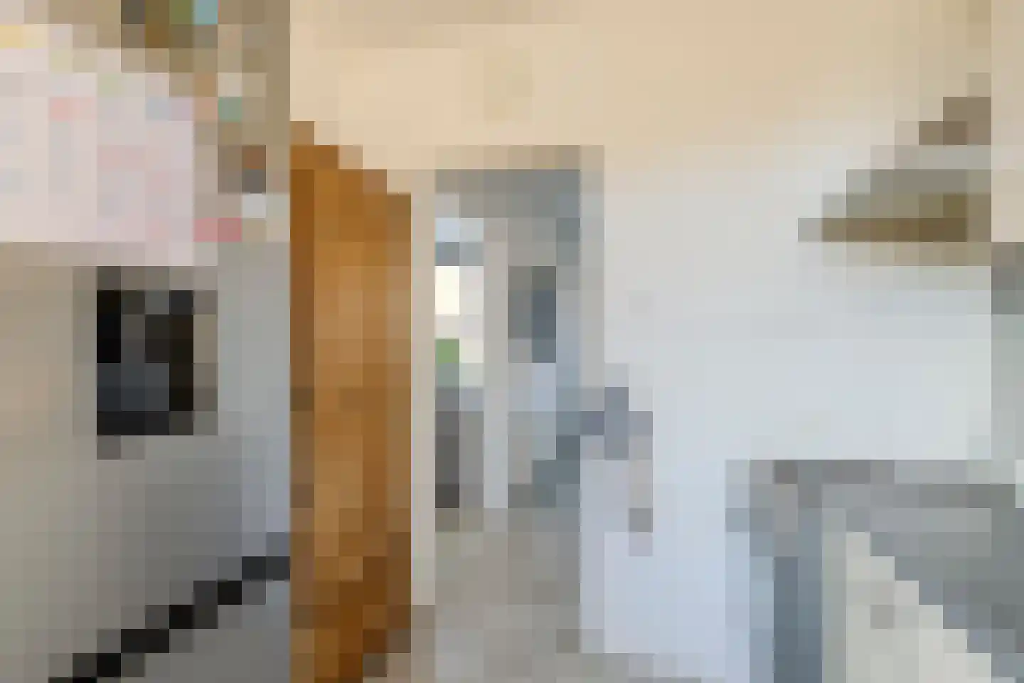 Floris van Dijckstraat 9 Bunschoten-Spakenburg thumbnail 11