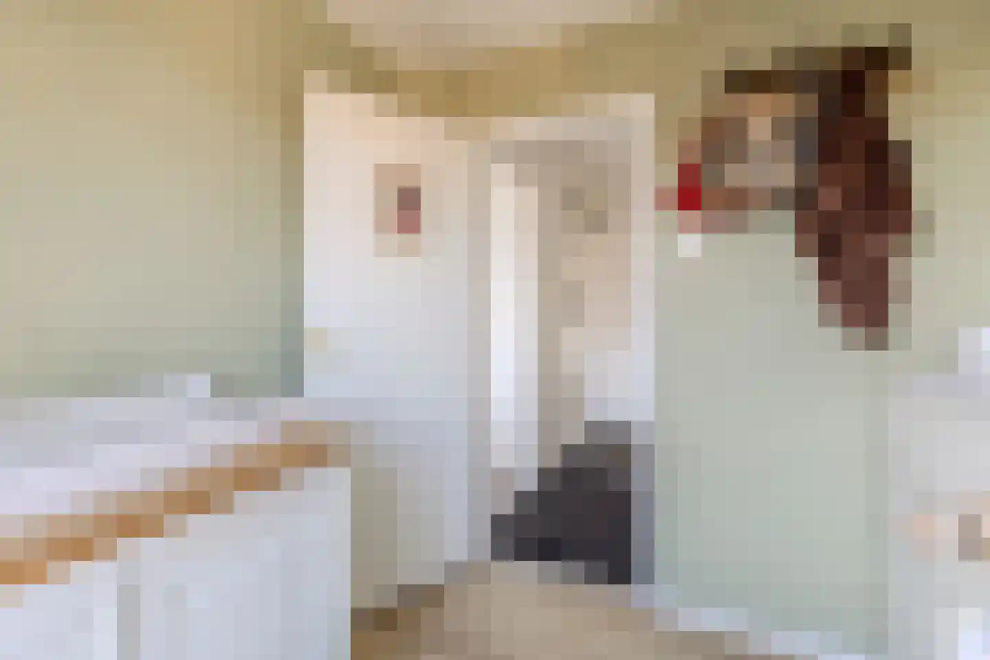 Floris van Dijckstraat 9 Bunschoten-Spakenburg thumbnail 20