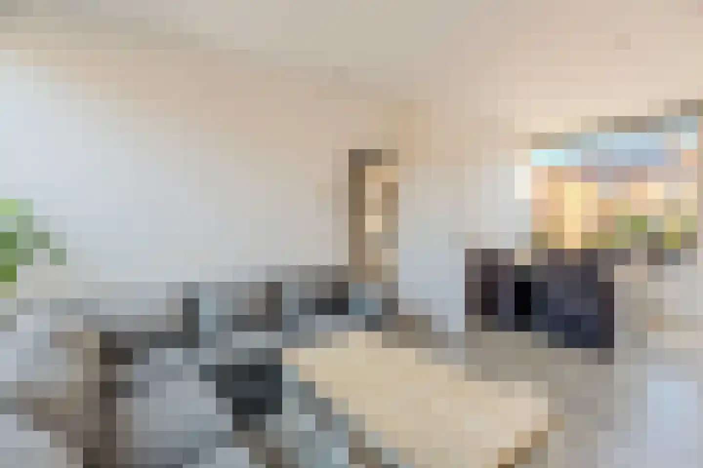 Floris van Dijckstraat 9 Bunschoten-Spakenburg thumbnail 5