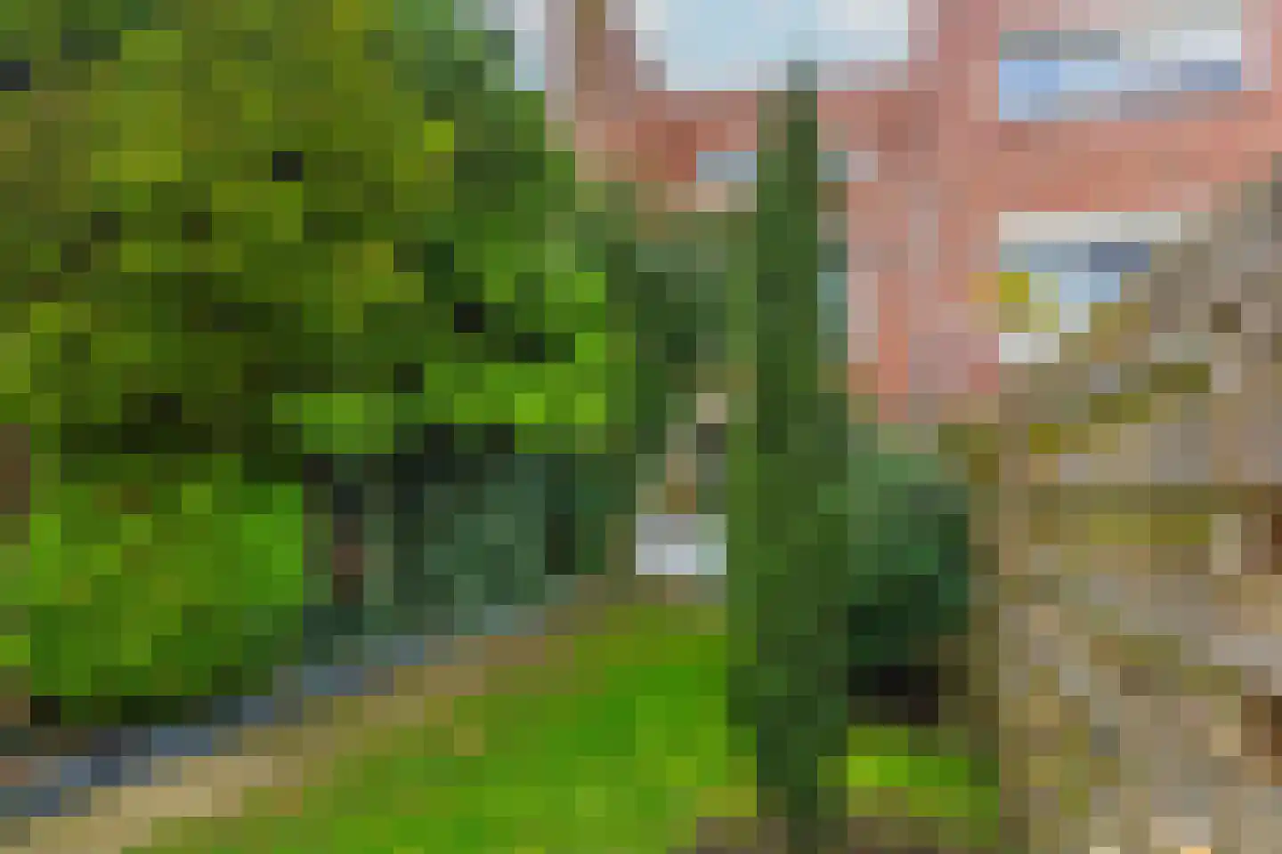 Floris van Dyckhage 3 Nieuwegein thumbnail 7
