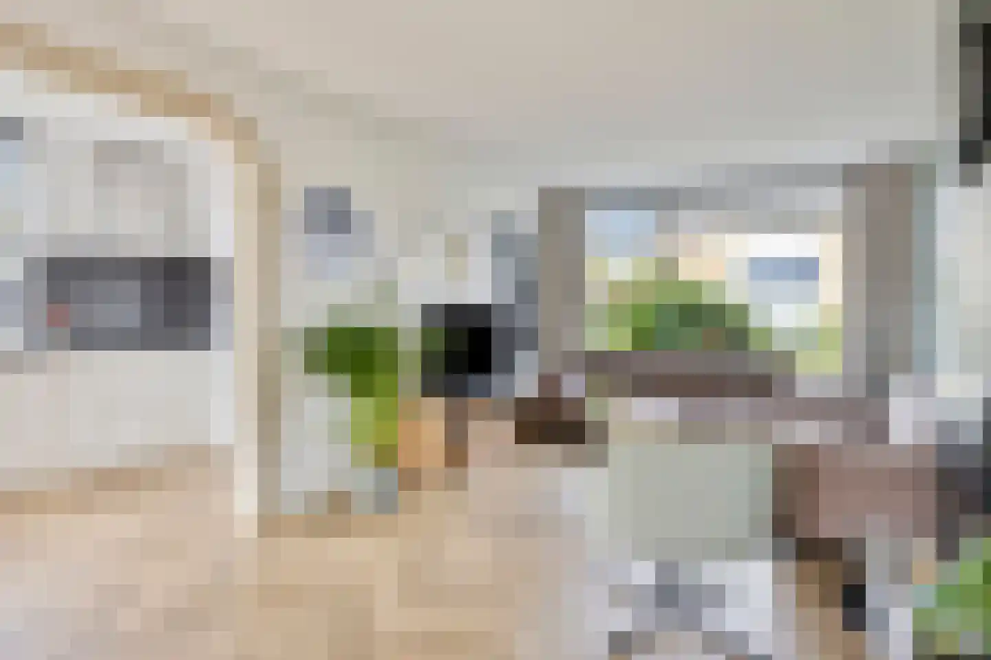 Floris van Egmondstraat 15 Lopik thumbnail 16