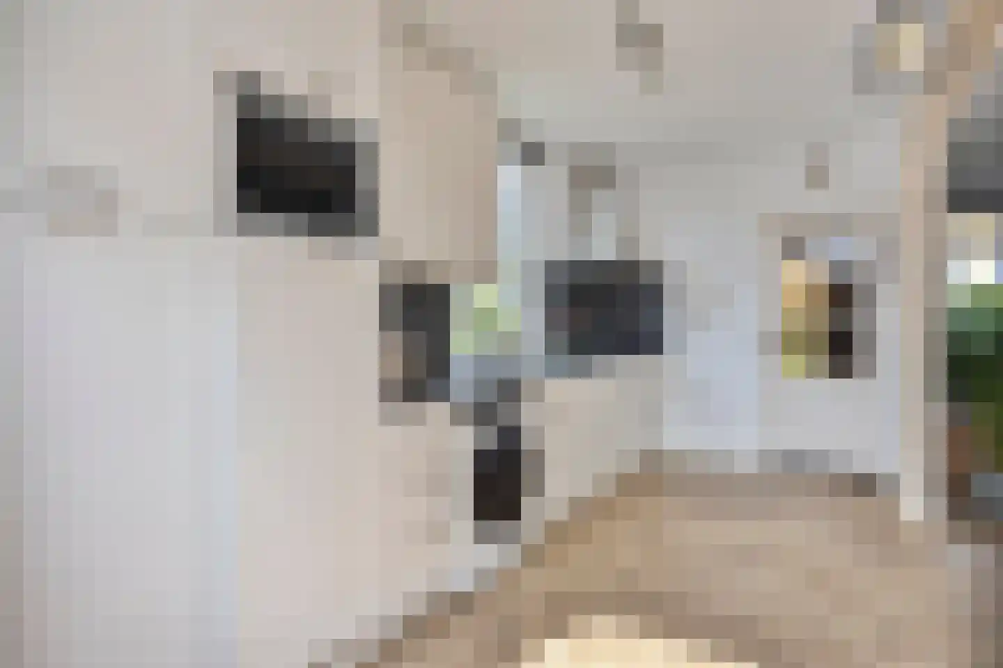 Floris van Egmondstraat 15 Lopik thumbnail 18
