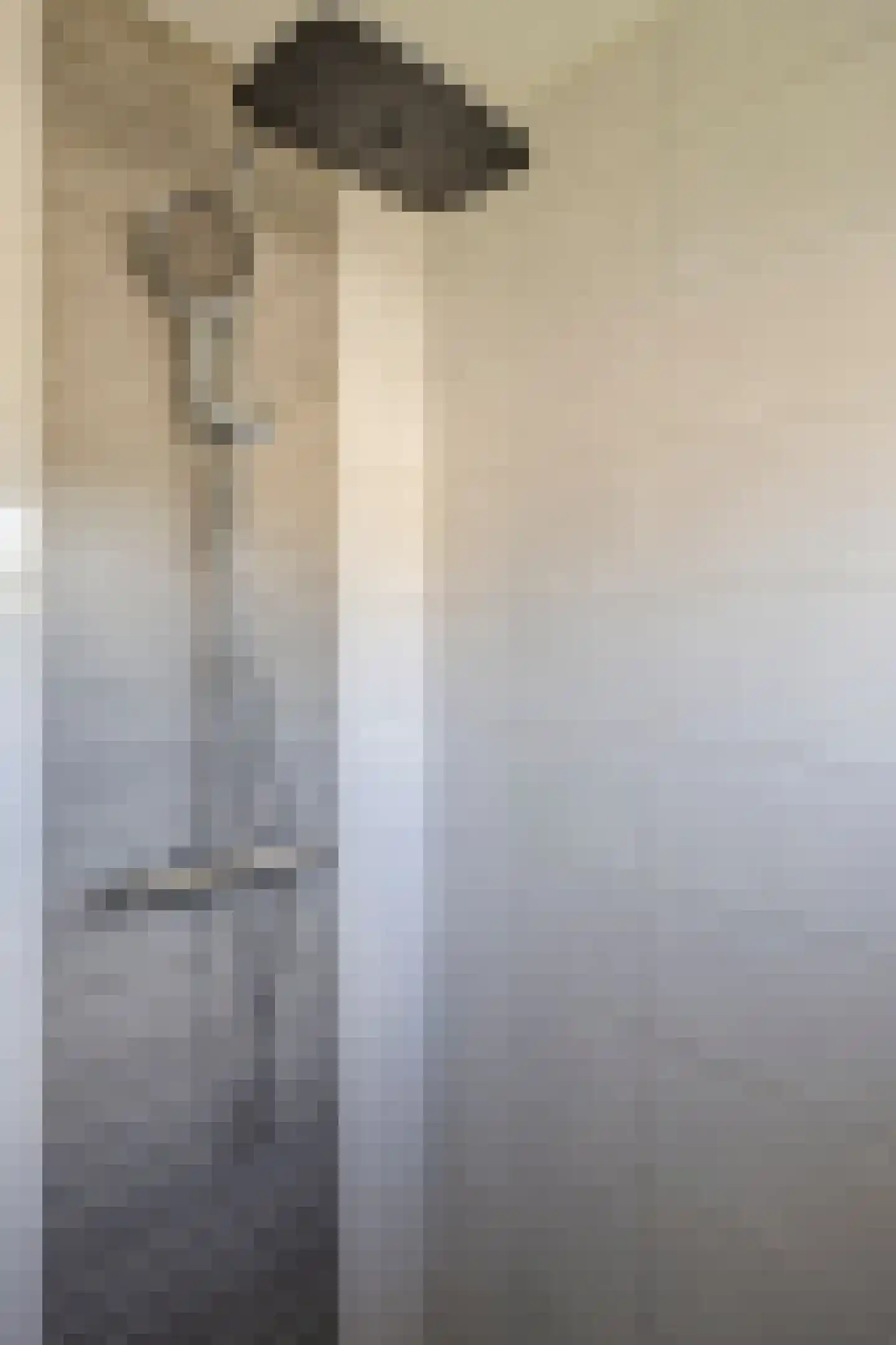 Floris van Egmondstraat 15 Lopik thumbnail 24