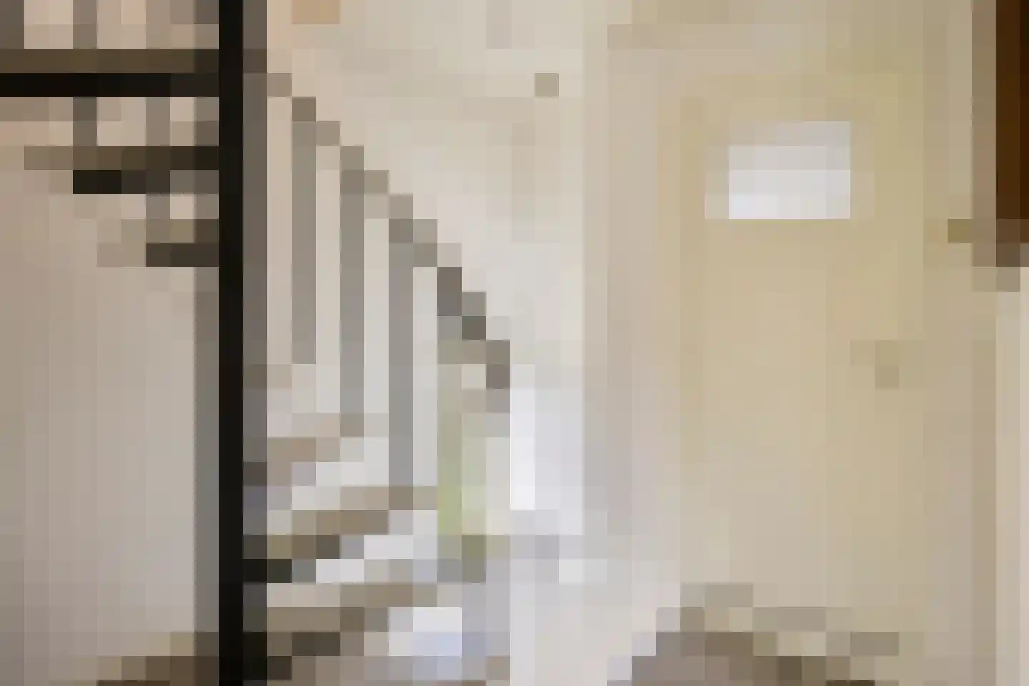 Floris van Egmondstraat 15 Lopik thumbnail 30