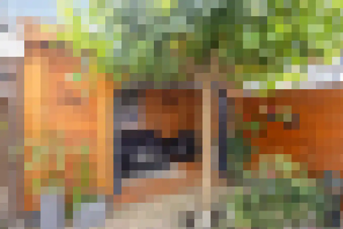 Floris van Egmondstraat 15 Lopik thumbnail 38