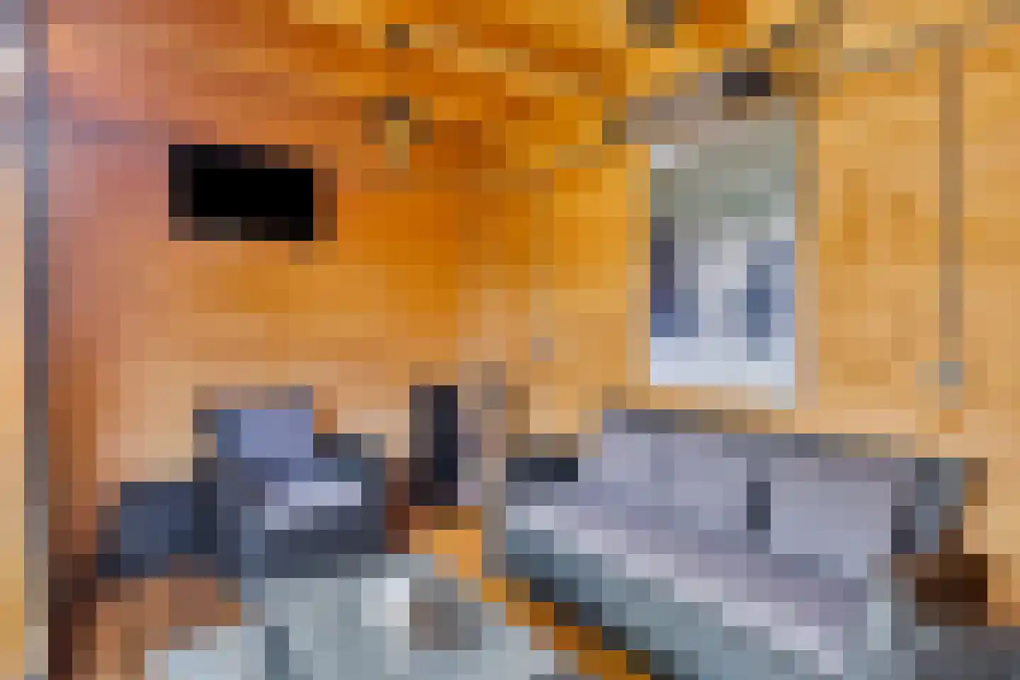 Floris van Egmondstraat 15 Lopik thumbnail 39