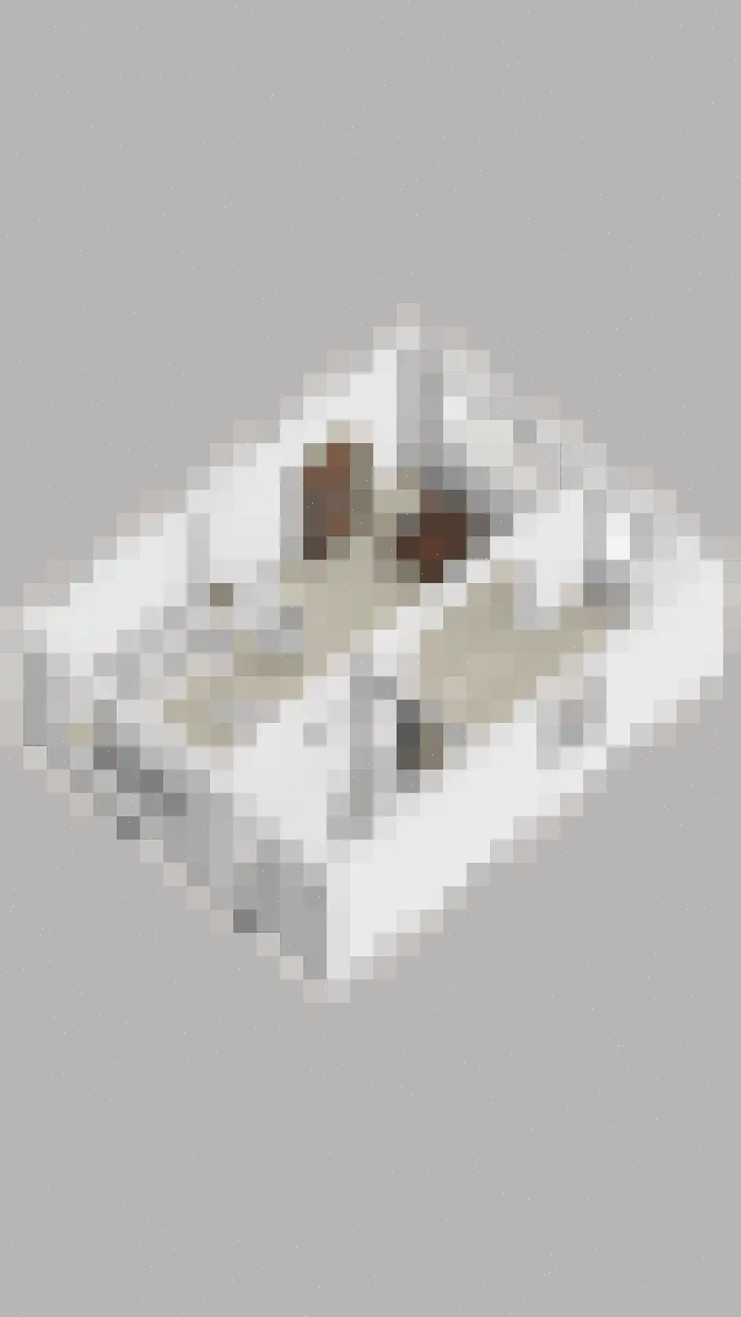 Floris van Egmondstraat 15 Lopik thumbnail 51