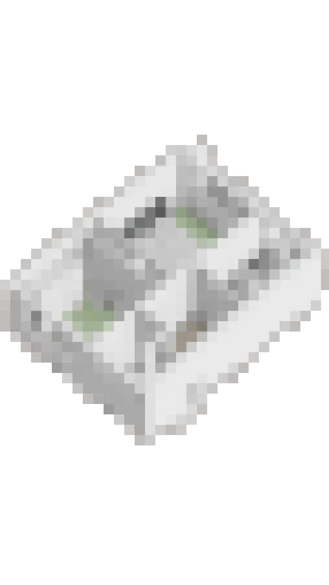 Floris van Egmondstraat 15 Lopik thumbnail 53