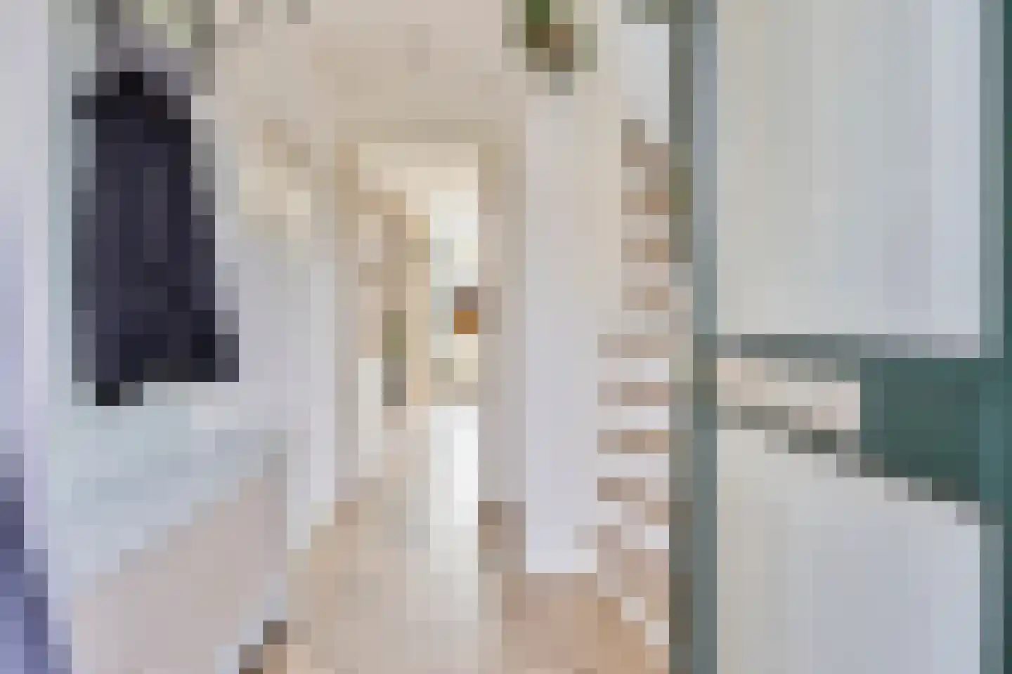 Floris van Egmondstraat 15 Lopik thumbnail 7