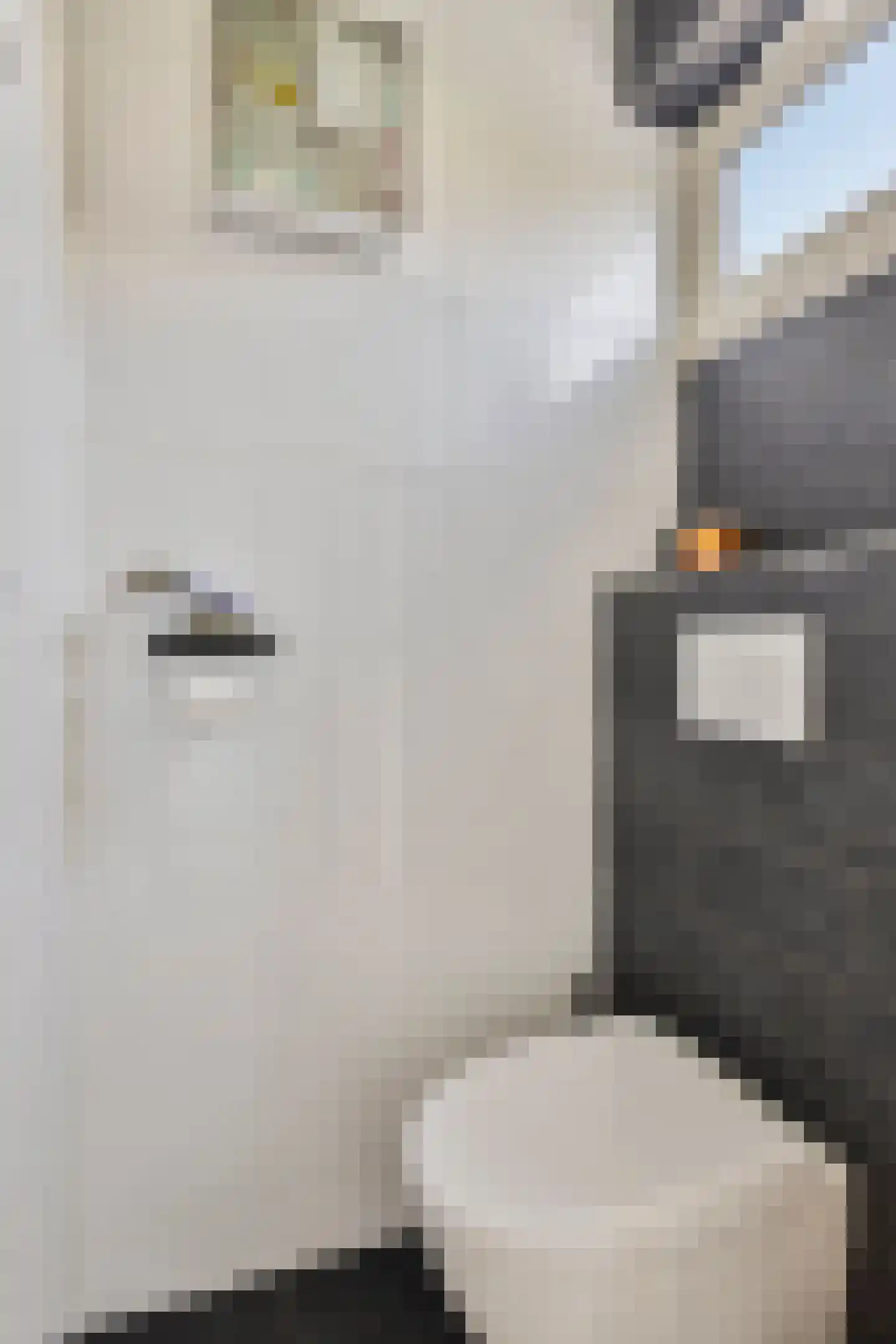 Floris van Egmondstraat 15 Lopik thumbnail 8