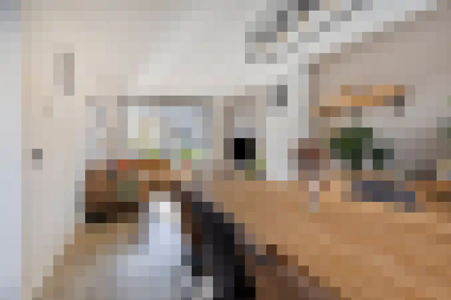 Floris van Egmondstraat 17 Lopik thumbnail 10
