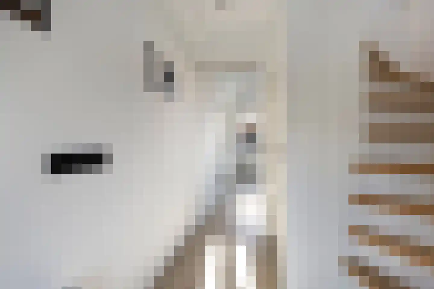 Floris van Egmondstraat 17 Lopik thumbnail 21