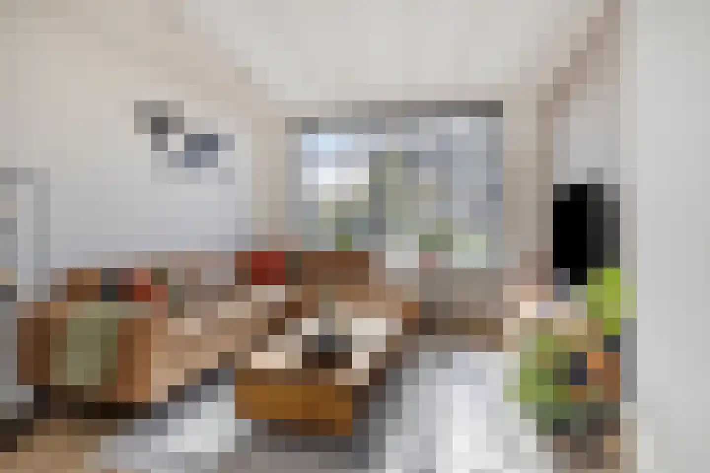 Floris van Egmondstraat 17 Lopik thumbnail 4