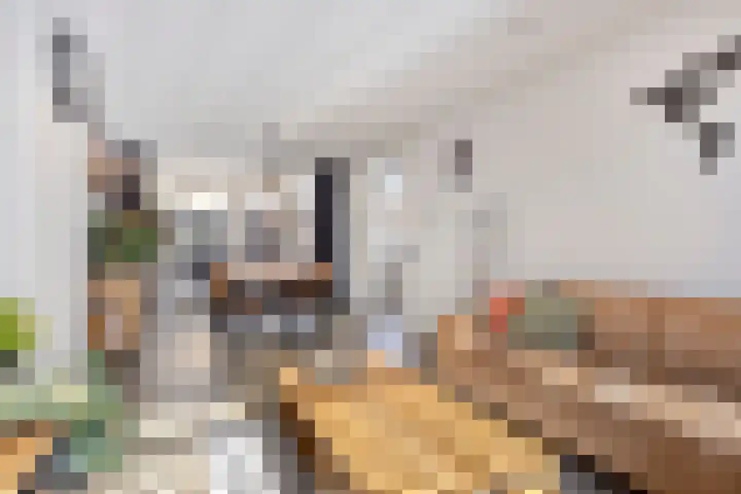 Floris van Egmondstraat 17 Lopik thumbnail 5