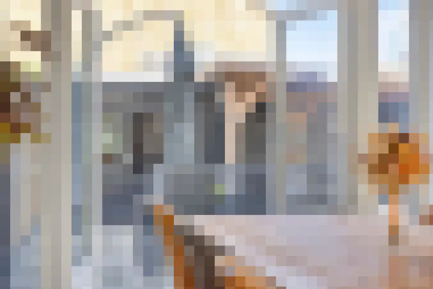 Floris van Egmondstraat 17 Lopik thumbnail 9