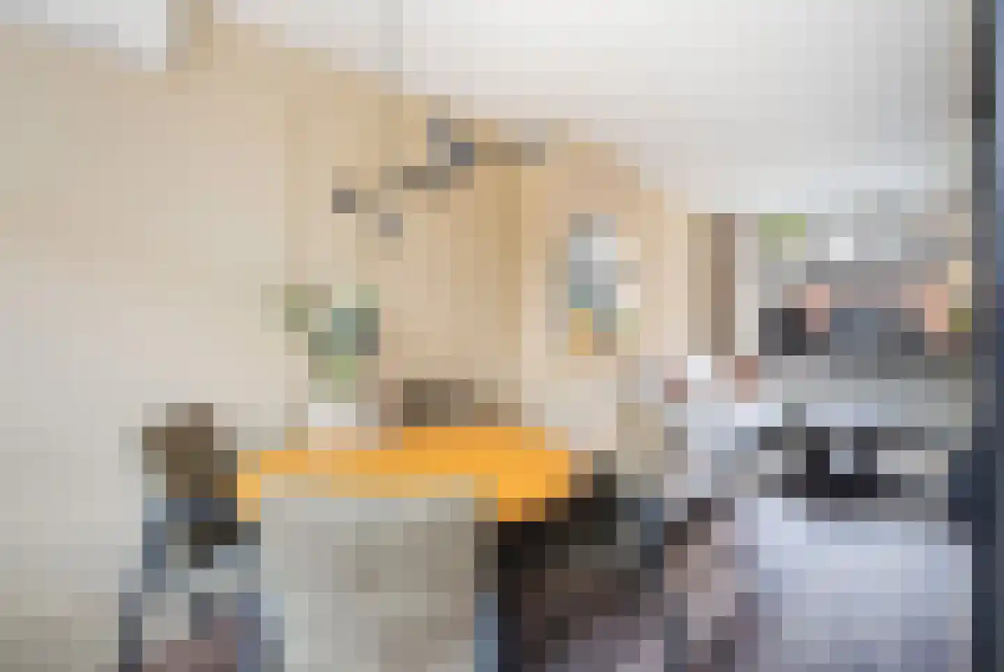 Floris van Egmondstraat 18 Lopik thumbnail 12