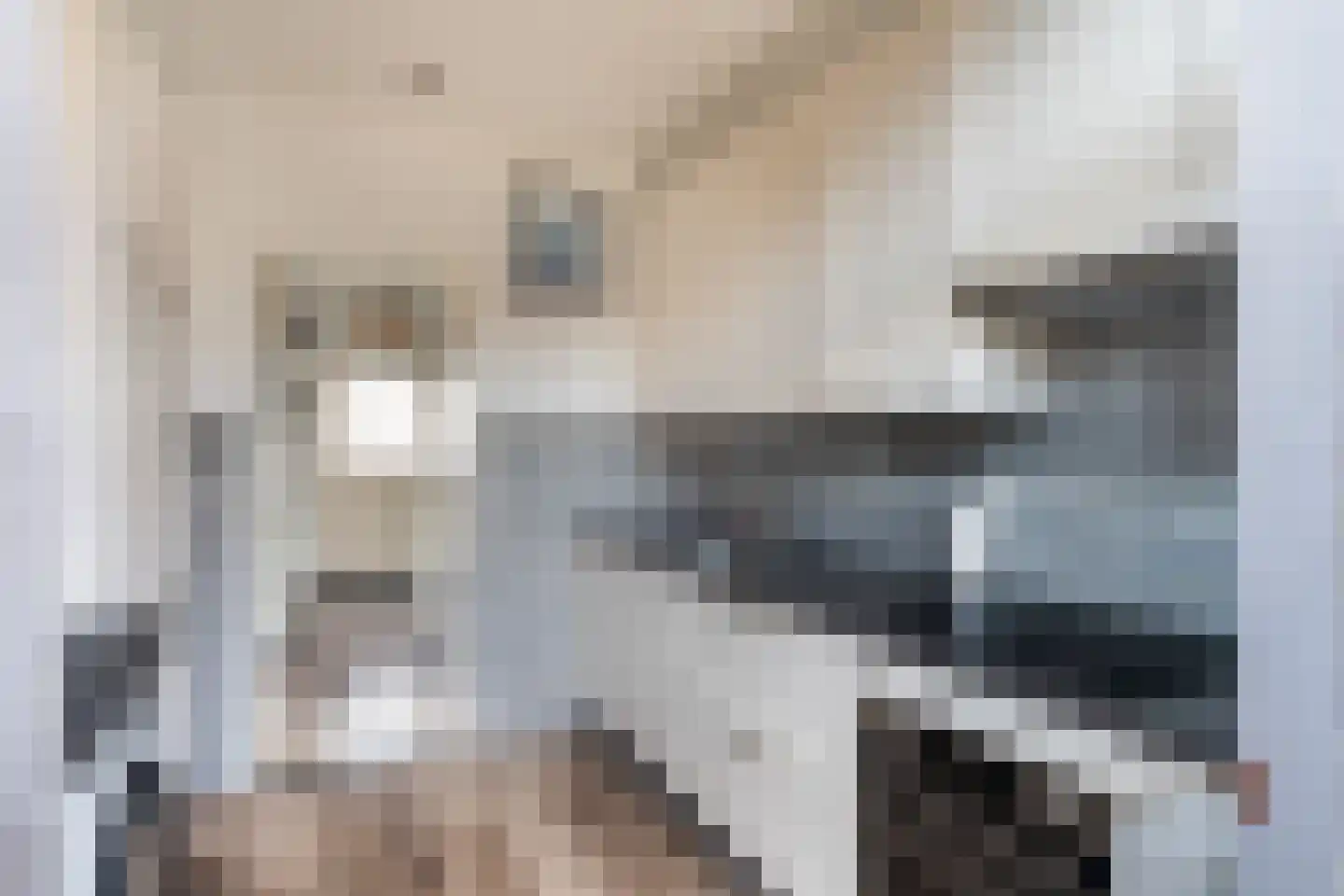 Floris van Egmondstraat 18 Lopik thumbnail 16