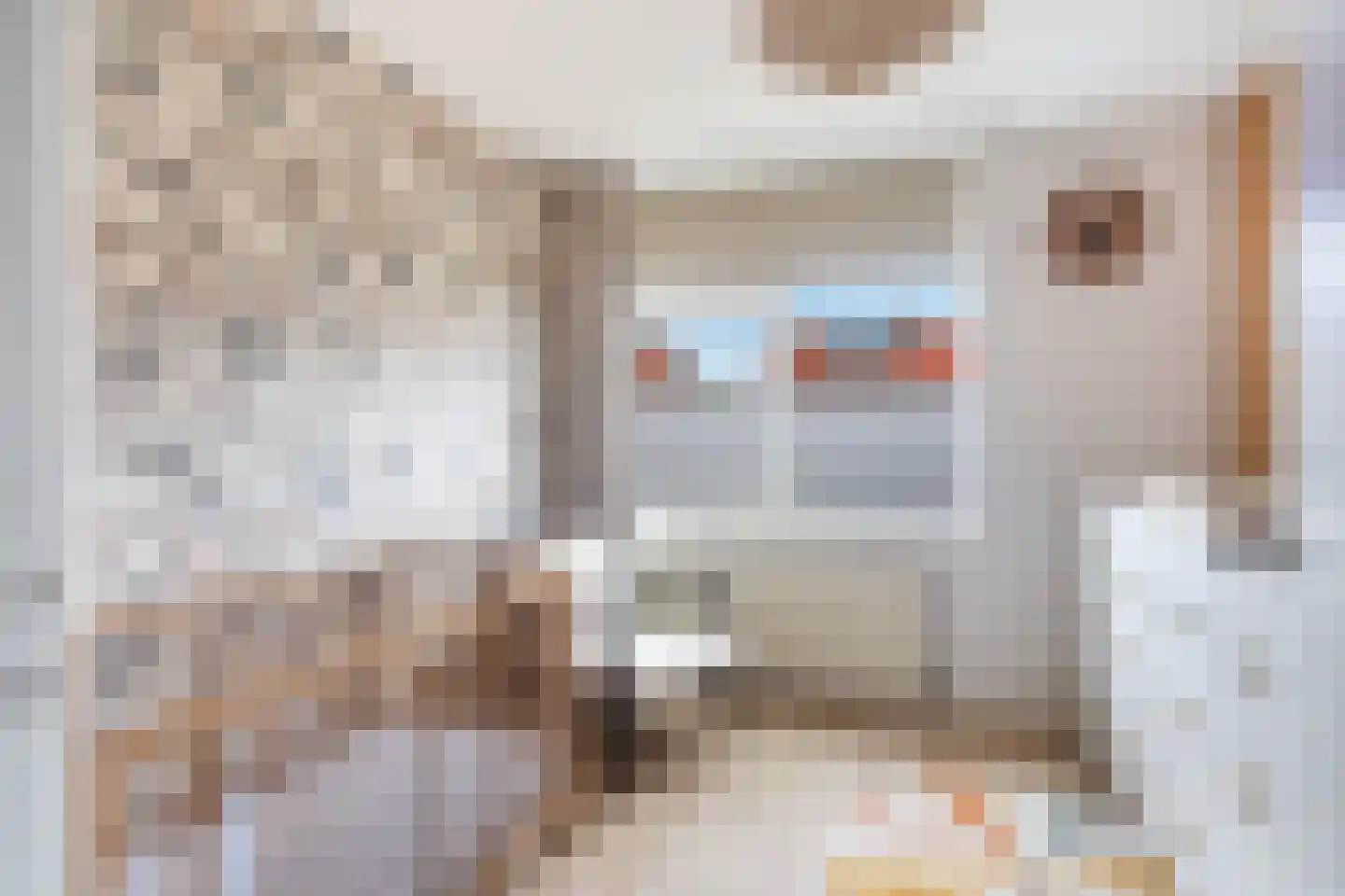 Floris van Egmondstraat 18 Lopik thumbnail 23