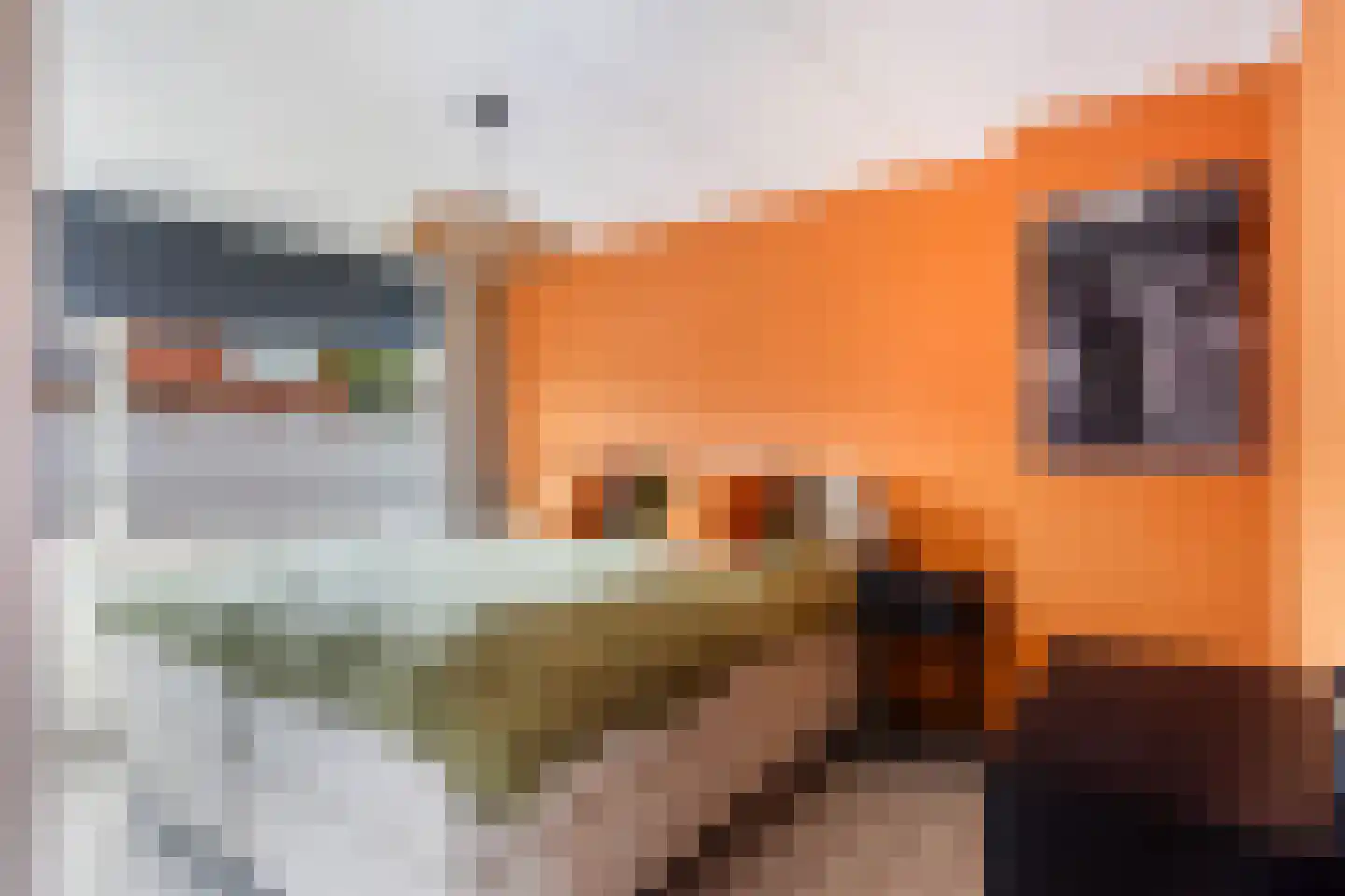 Floris van Egmondstraat 18 Lopik thumbnail 26