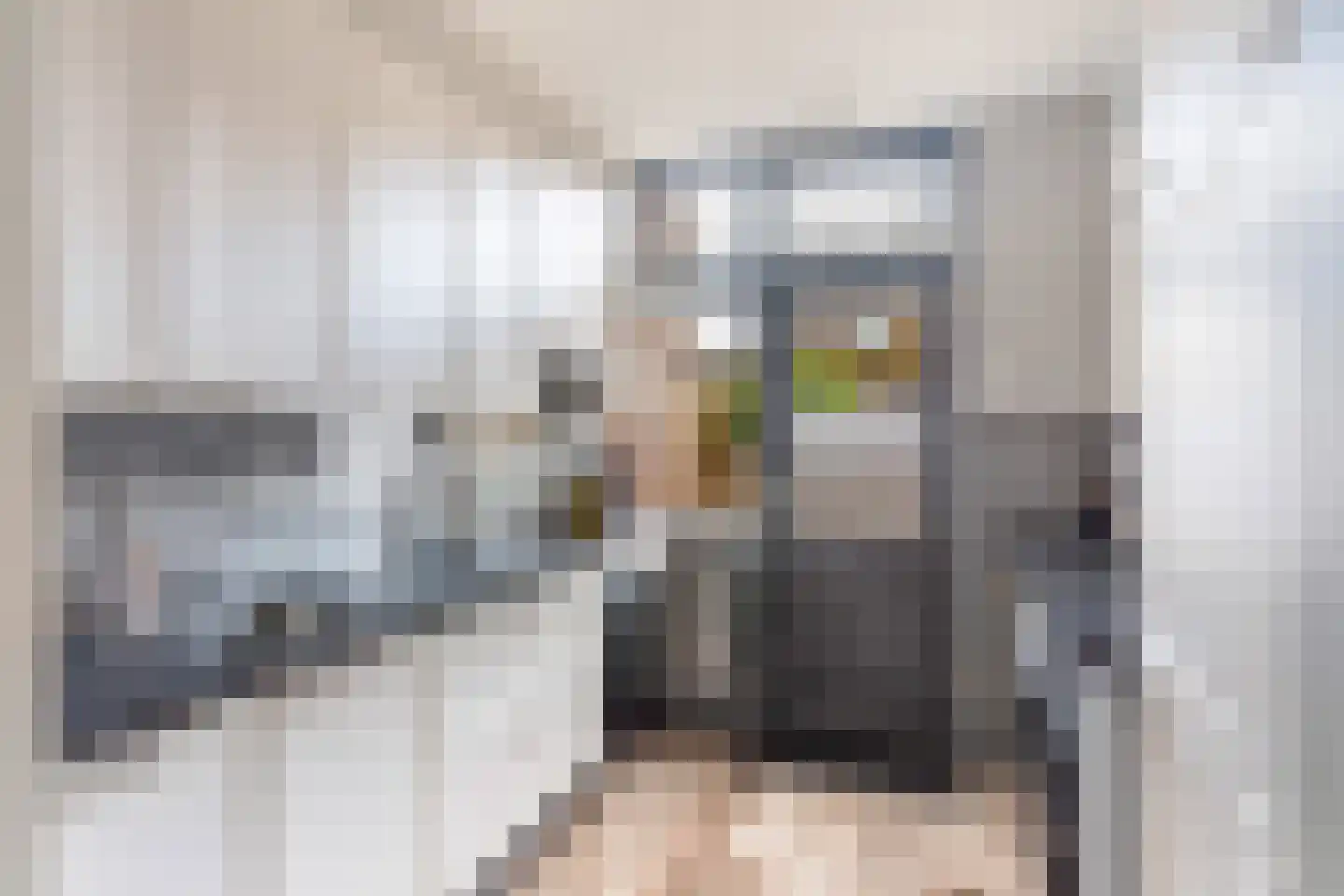 Floris van Egmondstraat 18 Lopik thumbnail 7