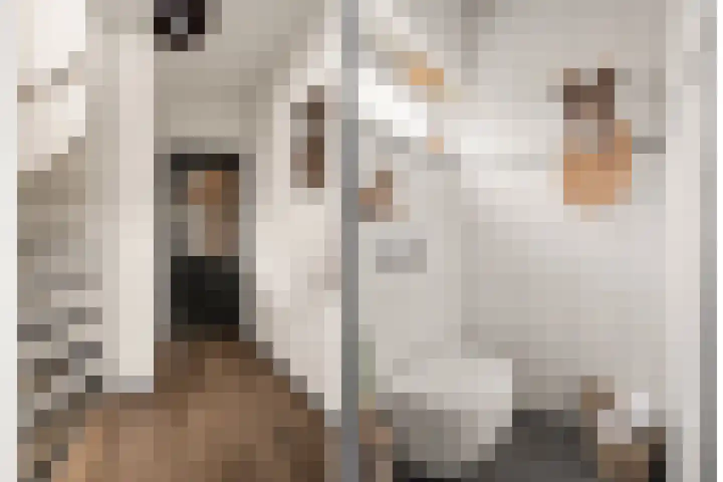 Floris van Egmondstraat 25 Lopik thumbnail 14